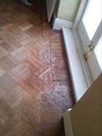 fkillineybeforeinternal 1185.jpg